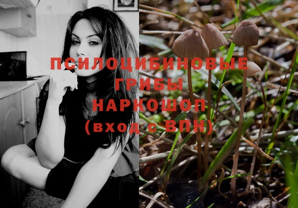 молекула духа Алексин