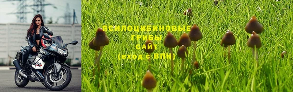 молекула духа Алексин