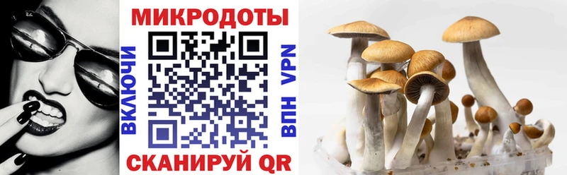 Галлюциногенные грибы GOLDEN TEACHER Ковылкино